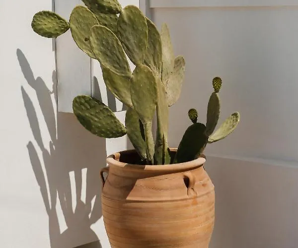 The Z Private Villa, Santorini * 莫诺利索斯