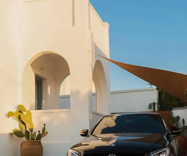 The Z Private Villa, Santorini 莫诺利索斯